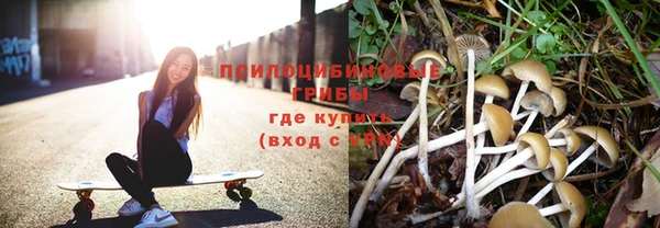 соль курить ск Кадников